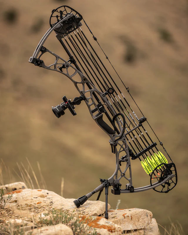 Hoyt - Go Stix 2.0