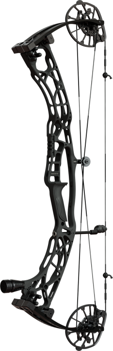 Hoyt - Alpha X 33