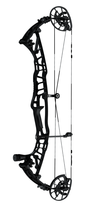 Hoyt - Highline Solid