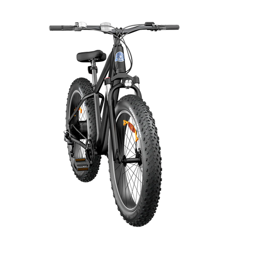 Hiboy - P6 Ebike