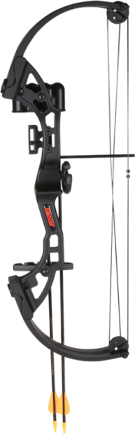 Bear Brave Bow