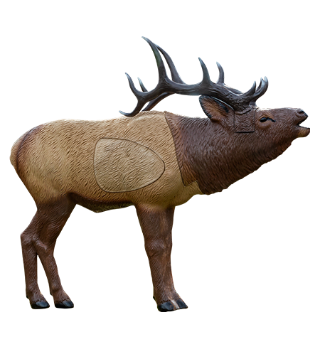 Rinehart - Woodland Elk 1/3 Scale