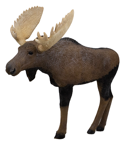 Rinehart - Woodland Moose 1/3 Scales